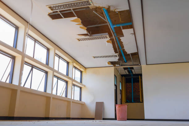 Best Water damage restoration near me  in Hazlehurst, GA