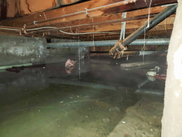 Best Flooded house restoration  in Hazlehurst, GA