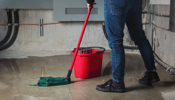 Best Professional water damage repair  in Hazlehurst, GA