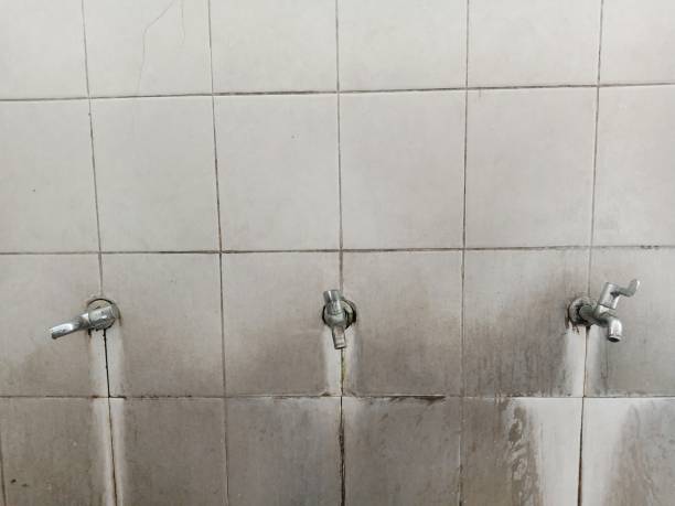 Best Local water damage restoration  in Hazlehurst, GA