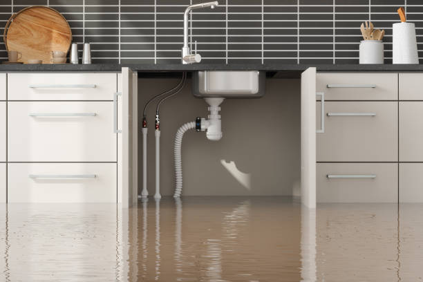 Best Flood restoration services  in Hazlehurst, GA